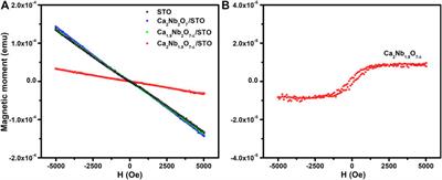 Intrinsic Complex Vacancy-Induced d0 Magnetism in Ca2Nb2O7 PLD Film